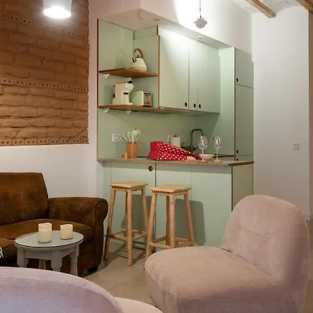 Isilla20 - Pisos Boutique En Calle Emblematica Aranda de Duero
