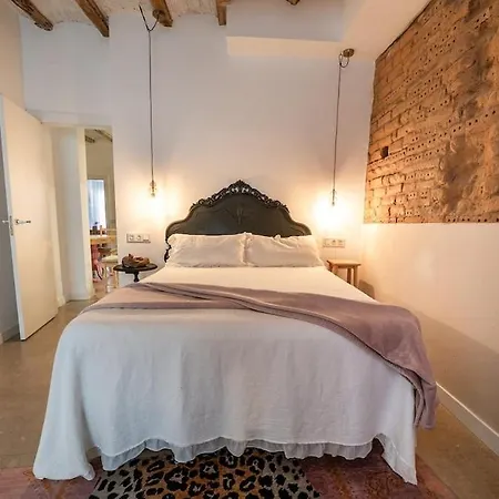 Isilla20 - Pisos Boutique En Calle Emblematica * Aranda de Duero